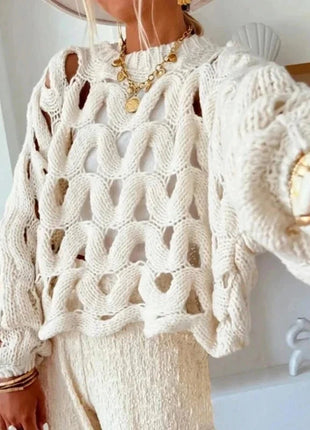 Long Sleeve Crochet Knit Sweater Aestheticism Store