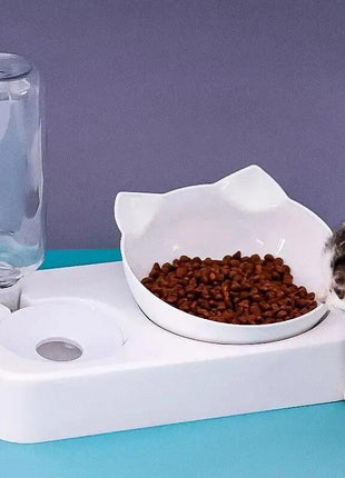 15° Tilt Pet Bowl with Automatic Water Feeder for Dogs Stone's Store