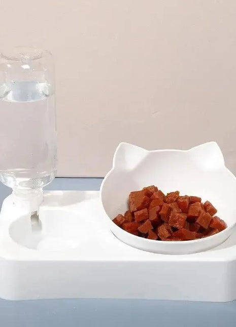 15° Tilt Pet Bowl with Automatic Water Feeder for Dogs Stone's Store