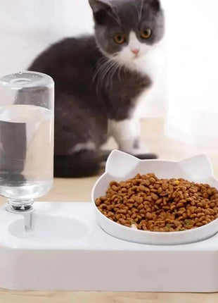 15° Tilt Pet Bowl with Automatic Water Feeder for Dogs Stone's Store