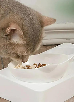 15° Tilt Pet Bowl with Automatic Water Feeder for Dogs Stone's Store