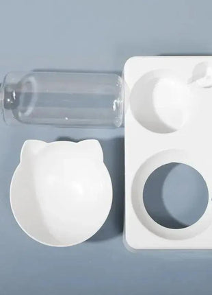 15° Tilt Pet Bowl with Automatic Water Feeder for Dogs Stone's Store