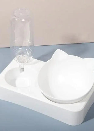 15° Tilt Pet Bowl with Automatic Water Feeder for Dogs Stone's Store