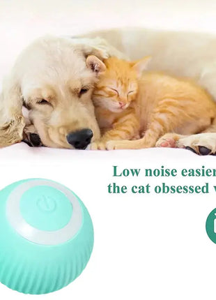 PlayPaws - لعبة الكرة الكهربائية SmartPlay للحيوانات الأليفة Home Convenience Global Store