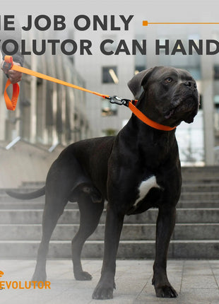 Orange Extra Heavy Duty Dog Leash 4 Ft x 1 in for Large Medium and Small Dogs Yousef