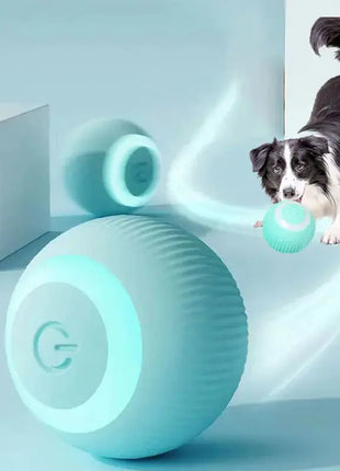 PlayPaws - لعبة الكرة الكهربائية SmartPlay للحيوانات الأليفة Home Convenience Global Store