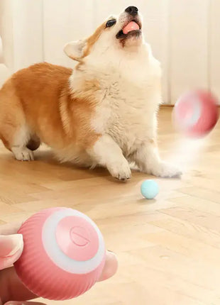 PlayPaws - لعبة الكرة الكهربائية SmartPlay للحيوانات الأليفة Home Convenience Global Store